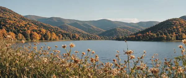 Göl ve dağlarla dolu güzel bir manzara.