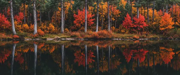 Göldeki renkli sonbahar ormanı