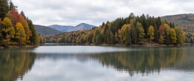 Göl ve dağlarla dolu güzel bir manzara.