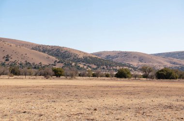 Arkasında bir dağ olan güzel bir manzara.