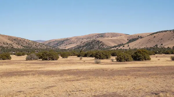 Güzel manzara. doğa arkaplanı