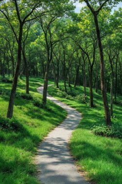 Parktaki yeşil orman