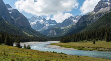 Güzel Alpler manzarasının manzarası
