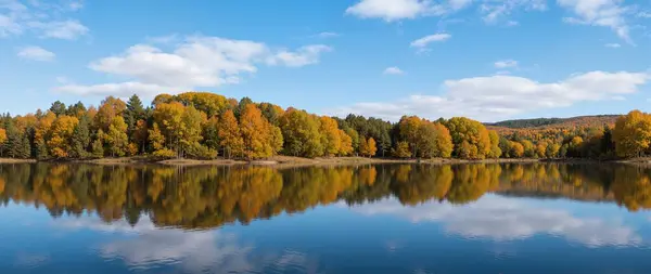 Sonbahar ağaçları ve arka planda sarı yapraklar olan göl, sonbahar manzarası.