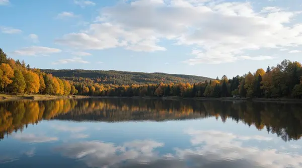 Ormanda gölü olan güzel sonbahar manzarası