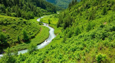 Ormandaki nehrin havadan görünüşü