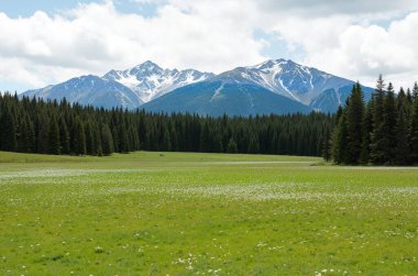 güzel dağ manzarası, doğa arka planı