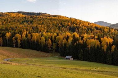 Dağlarda renkli ağaçlarla dolu sonbahar manzarası