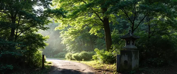 Parktaki eski terk edilmiş ev.