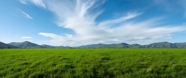 Arkasında bir dağ olan güzel bir manzara.