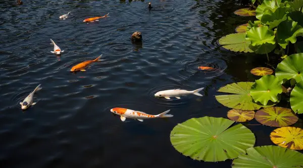 Parktaki gölün güzel manzarası