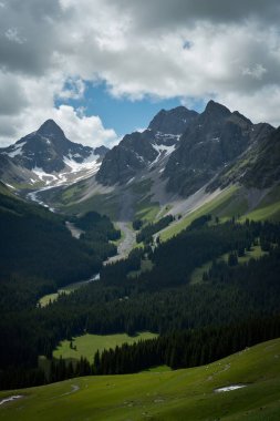 Yeşil çimenli ve ağaçlı dağ vadisi