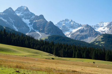 Doğanın güzel manzarası