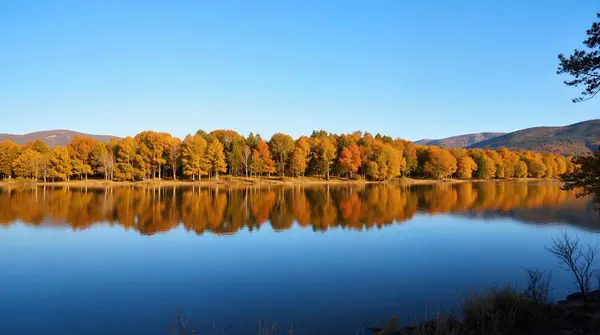Göl ve dağlarla dolu sonbahar manzarası