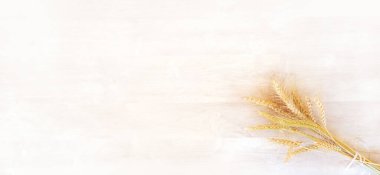 Bir buket sarı olgun buğday, hafif ve rüya gibi beyaz ahşap bir yüzeye karşı, Shavuot bayramını kutlamak için tasarlanmıştır.