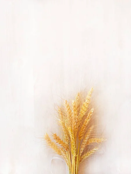白い木の表面に対して 中央に熟した黄色の小麦が立っています シャヴーの休日のためのグリーティングカードのためのもの — ストック写真