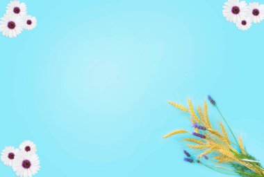 Tebrik kartı. Açık mavi arka planda lavanta çiçekli buğday çelengi ve etrafta beyaz çiçekler. Metin için boş alanı olan