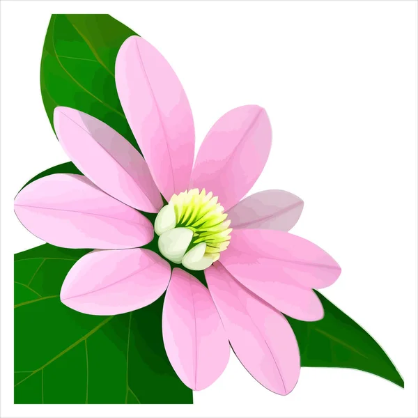 粉红色的花 绿色的叶子 在白色背景上孤立 — 图库矢量图片