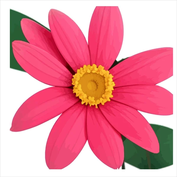 Красива Рожева Квітка Жовтим Фоном — стоковий вектор