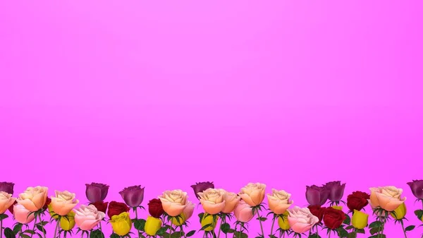 Schöne Blumen Auf Rosa Hintergrund Draufsicht — Stockfoto
