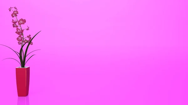 Красива Рослина Горщику Рожевому Фоні Мінімальна Концепція — стокове фото
