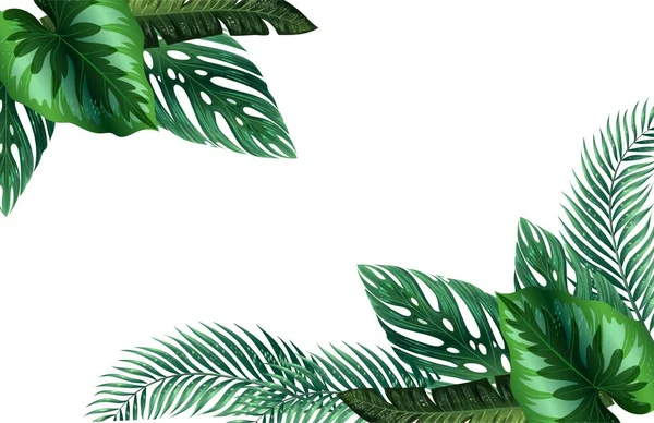 background with tropical monstera leaves and bright palm fronds for banner, flyer or cover with copy space for text or symbol,Banner of green tropical palm leaves Monstera on white background. Flat lay, top view.