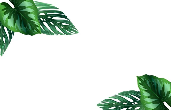 背景为热带季风叶和明亮的棕榈叶作为横幅 传单或封面与复制空间作为文字或符号 绿色热带棕榈叶的横幅白色背景 平躺在地上 俯瞰四周 — 图库照片