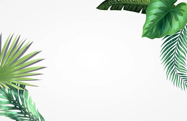 Achtergrond Met Tropische Monstera Bladeren Heldere Palmbladeren Voor Banner Flyer — Stockvector