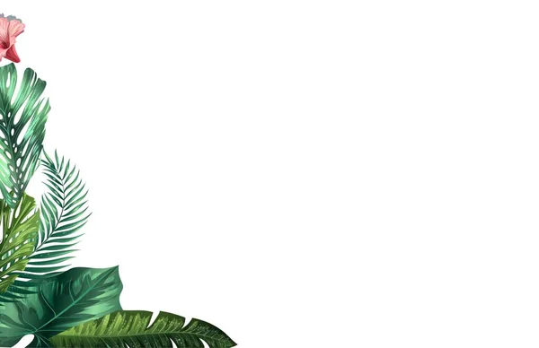 Фон Тропическими Листьями Монстров Яркими Пальмовыми Листочками Баннера Флаера Обложки — стоковый вектор