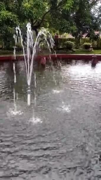 Realistico Colorato Fontana Composizione Trasparente Isolato Con Spruzzi Acqua Sito — Video Stock