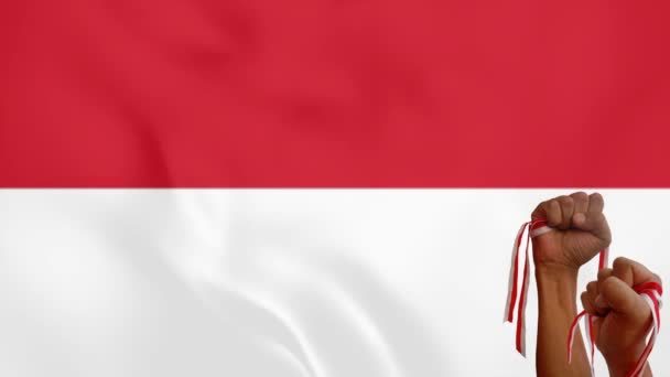 インドネシアの独立記念日 バックグラウンドフラッグループアニメーションフェスティバル インドネシア独立記念日コンセプト — ストック動画