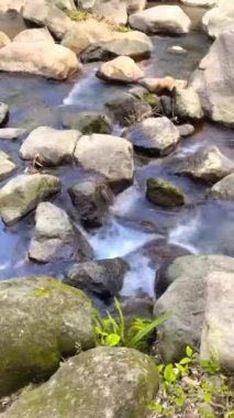 Doğa akışının kapalı akış suyu dağ su arka plan klipsi