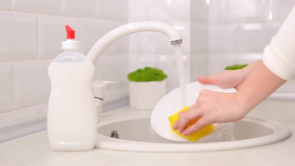 Tvättmedel För Disk Städning Hushållsarbete — Stockvideo
