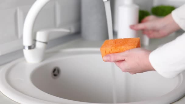 Meios Para Lavar Desinfetar Pratos — Vídeo de Stock