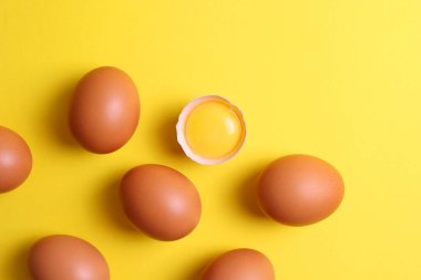 Renkli arka planda taze çiftlik yumurtaları. Yüksek kalite fotoğraf