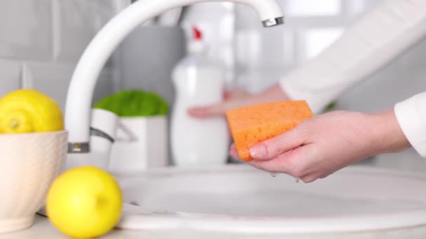Means Washing Disinfecting Dishes — Stock Video