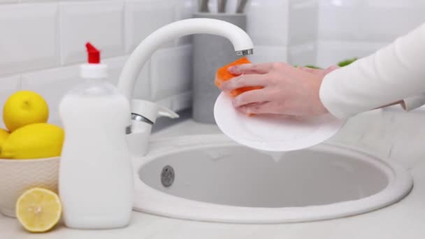 Средства Мытья Дезинфекции Посуды — стоковое видео