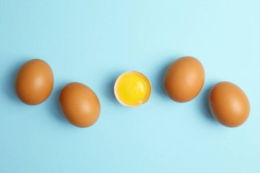 Renkli arka planda taze çiftlik yumurtaları. Yüksek kalite fotoğraf