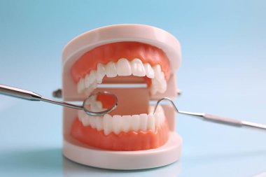 Dişçi aletleri ve mavi arka planda bir diş modeli. Yüksek kalite fotoğraf