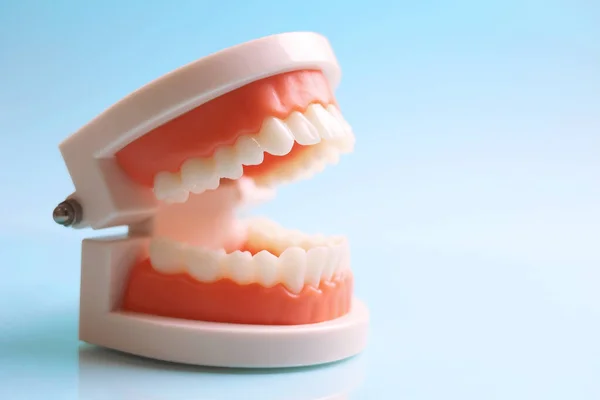 Dişçi aletleri ve mavi arka planda bir diş modeli. Yüksek kalite fotoğraf