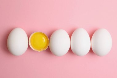 Renkli arka planda taze çiftlik yumurtaları. Yüksek kalite fotoğraf