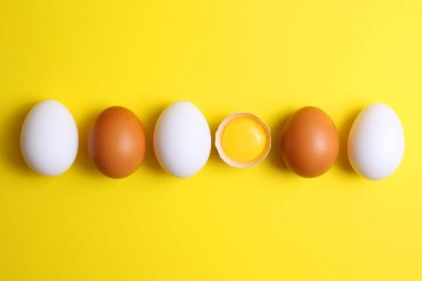 Renkli arka planda taze çiftlik yumurtaları. Yüksek kalite fotoğraf
