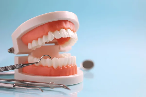 Dişçi aletleri ve mavi arka planda bir diş modeli. Yüksek kalite fotoğraf