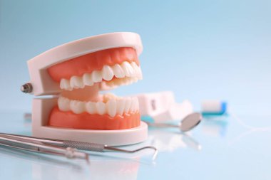 Dişçi aletleri ve mavi arka planda bir diş modeli. Yüksek kalite fotoğraf