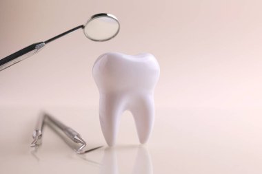 Dişçi konsepti. Renkli bir arkaplanda, yazı için yeri olan diş ve diş aletlerinin modeli. - Evet. Yüksek kalite fotoğraf