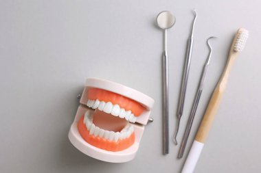 Dişçi konsepti. Işık arkaplanındaki diş ve diş aletlerinin maketi ve metin için yeri var. - Evet. Yüksek kalite fotoğraf