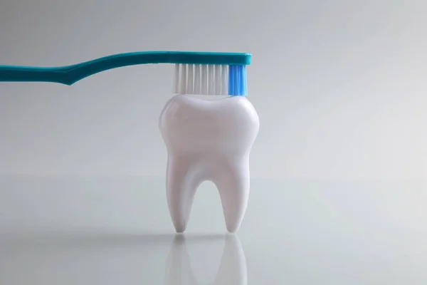 Concept Dentisterie Modèle Une Dent Instruments Dentaires Sur Fond Clair — Photo