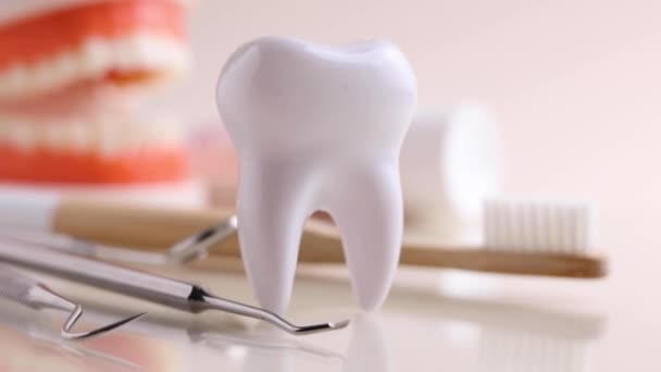 Tandheelkunde Concept Model Van Een Tand Tandheelkundige Instrumenten Een Gekleurde — Stockvideo