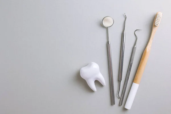 Concetto Odontoiatria Modello Strumenti Dentali Dentali Fondo Chiaro Con Spazio — Foto Stock