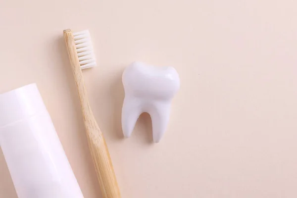 Concetto Odontoiatria Modello Strumenti Dentali Dentali Sfondo Colorato Con Spazio — Foto Stock
